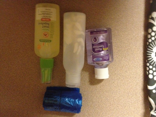 From left to right: insect repellent, sunscreen, hand sanitizer, and plastic bags for diapers